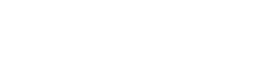 MINI WEB STUDIO